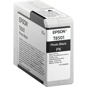 Tusz Epson Wkład atramentowy UltraChromeHD Photo Black (C13T850100)