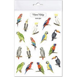 Αυτοκόλλητα Incood Parrot 13941968 5904673762928