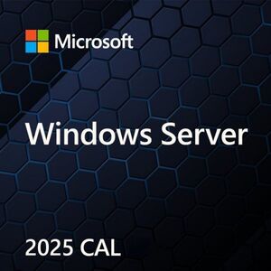 Microsoft OEM Win CAL 2025 Device PL 5Clt EP2-25250 14436574 196388487738