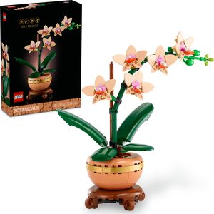 Botanicals Mała orchidea (10343)