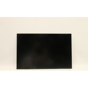 Napęd Lenovo DISPLAY FRU INX N160JCA-EEL