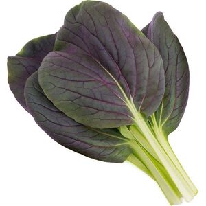 Click And Grow Click & Grow Smart Garden ανταλλακτικό Punane Bok Choy 3 τεμ 13927315 4742793009254