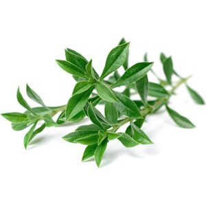 Click And Grow Click & Grow Smart Garden αναπλήρωση Mountain Savory 3 τεμ 13927263 4742793001685