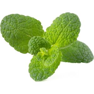 Click And Grow Click & Grow Smart Garden αναπλήρωση Apple Mint 3 τεμ 13927274 4742793001814