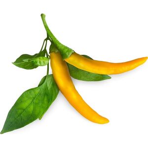Click And Grow Click & Grow Smart Garden refill Yellow Chili 3 τεμ 13927314 4742793009186
