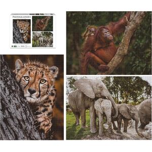Krups Ambassador Wildlife Families 3x 1000 Pieces (Donal Boyd) 14034648 4897049307872