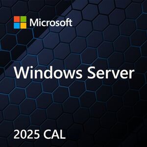Microsoft Windows Server 2025 CAL PL OEM  (EP2-25268)