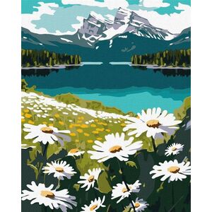 Malowanie po numerach - Kwitnące stokrotki 40x50cm