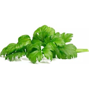 Click And Grow Click & Grow Smart Garden Refill Leaf Celery 3 τεμ 13927284 4742793003948