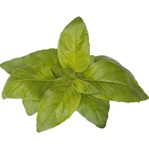 Click And Grow Click & Grow Smart Garden refill Lime Basil 3 τεμ 13927296 4742793004006