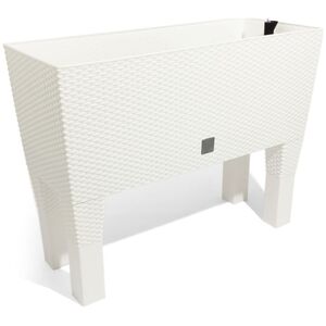 Prosperplast Gabion Rato Case High biały 60x40 cm