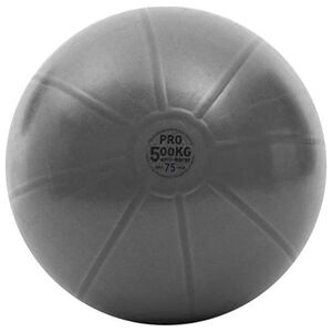 Toorx Gimnast. kamuolys 75cm TOORX PRO AHF-149 13422410 8029975994383