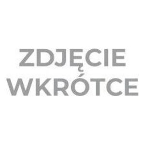 Tesa SIATKA MASKUJĄCA DO PŁYT KARTONOWO-GIPSOWYCH 45M:48MM (H6010101) DW