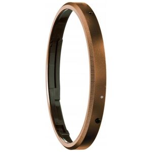 Ricoh GN-2 Ring Cap, bronze