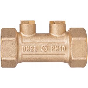 Zawór antyskażeniowy, 1GW x 1GW