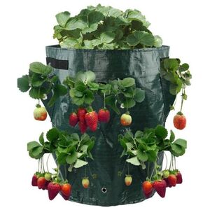 CreativeHome TORBA DO SADZENIA I UPRAWY TRUSKAWEK 17cm