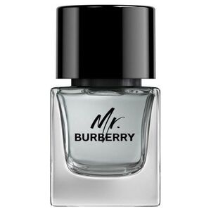 Burberry BURBERRY Mr. Burberry EDT spray 50ml