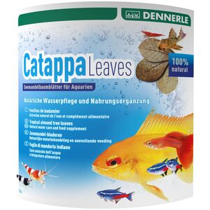 Dennerle Dennerle Catappa lapai, 10vnt dideli 13412872 4001615027440