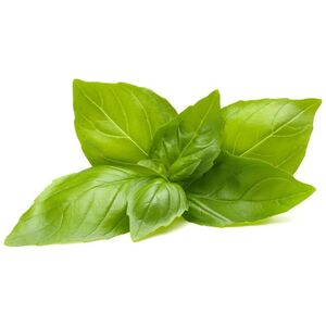 Click And Grow Click & Grow Smart Refill Lemon Basil 3 τεμ 13927261 4742793001708
