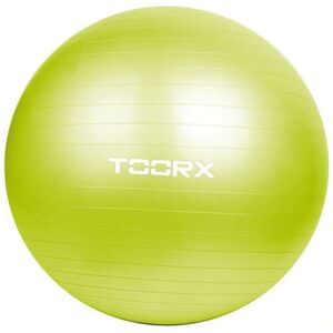 Toorx Gimnast. αντλία kamuolys 65cm TOORX AHF-012 su 13358258 8029975990460