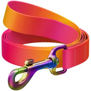 Collar Smycz dla psa nylonowa WAUDOG gradient, dł. 122 cm, pomarańczowa