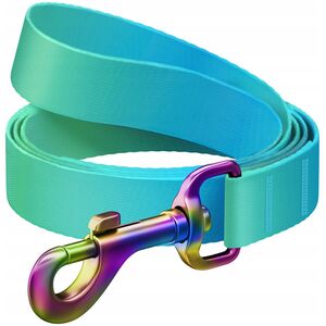Collar Smycz dla psa nylonowa WAUDOG gradient, szer. 20 mm, dł. 122 cm niebieska