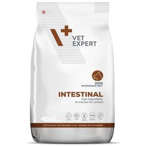 Triton VETEXPERT Dog Intestinal 12kg