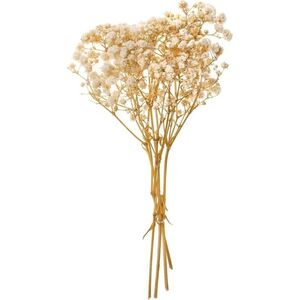 Gipsówka 4 gałązki ok. 20cm natural