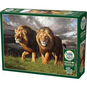 Puzzle 1000 Zbliża się burza G3