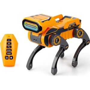 Robo Express pomarańczowy