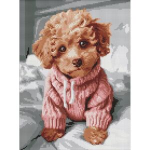 Norimpex Diamentowa mozaika - Magiczny Maltipoo 30x40cm