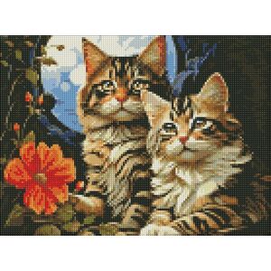 Norimpex Diamentowa mozaika - Magiczne kocięta 30x40cm
