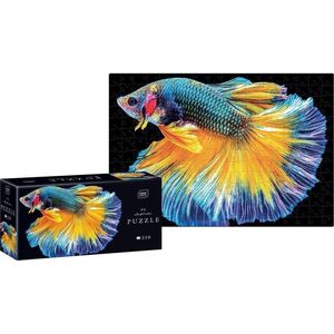 Puzzle 250 Colourful Nature 6 Fish