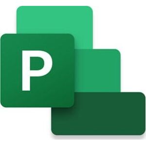 Program Microsoft MS Project 2024 Professional ESD