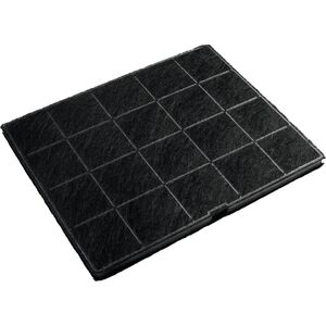 Anglinis filtras Electrolux ECFB01ST (LFT766X, LFG716/719)