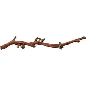 Trixie Korzenie winorośla 10 szt. piaskowane 45-70cm