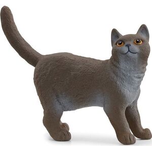 Figurka Schleich Schleich 13973 Kot brytyjski króktowłosy