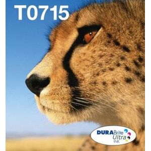 Tusz Epson Tusz T071 4 Pack CMYK (C13T07154511)