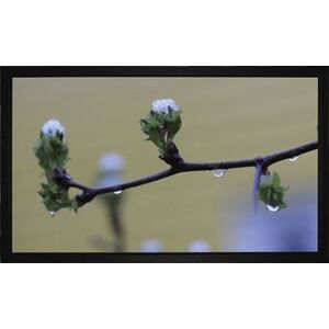 Ekran do projektora Medium MEDIUM Frame Budget Rahmenleinwand BM 240x135cm AM 256x151cm BxH 16:9 Format 8cm schwarzer Rahmen Typ D
