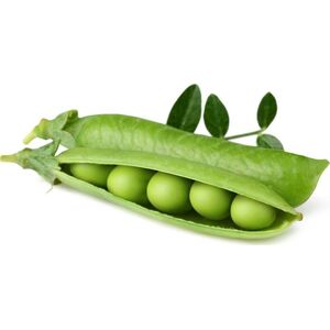 Click And Grow Click and Grow ανταλλακτικό πράσινο μπιζέλι 3-πακ