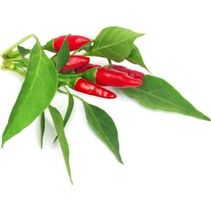 Click And Grow Click & Grow Smart Garden refill Piri Piri Chili Pepper 3pcs