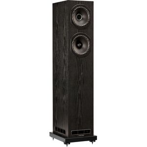 FyneAudio F501E