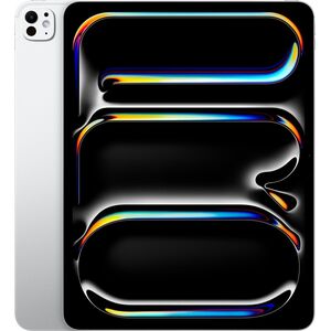 iPad Pro 13" M4 WiFi + Cellular 256GB with Standard glass - Silver