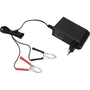 Blow Uniwersalna automatyczna ładowarka do akumulatorów żelowych 12V-V2.0 LED