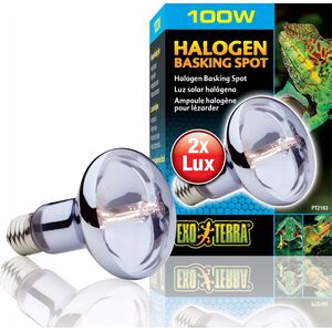 Hagen HAGEN-EXOTERRA HALOGEN SPOT BULB 100W - 000565 1221943 15561221832
