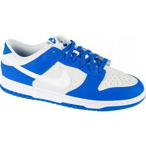 Nike Dunk Low FN3416-001 γκρι 40