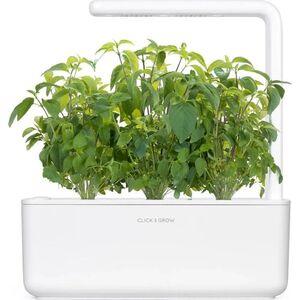 Click And Grow Click & Grow Smart Garden ανταλλακτικό Thai Basil 3 τεμ.