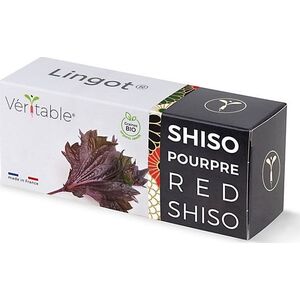 Véritable Lingot Μωβ σίζο - ΒΙΟ