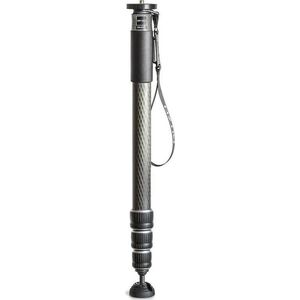Gitzo monopod GM4542