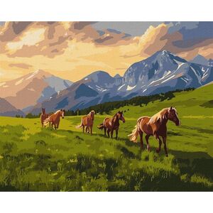 Malowanie po numerach - Wolny duchem 40x50cm